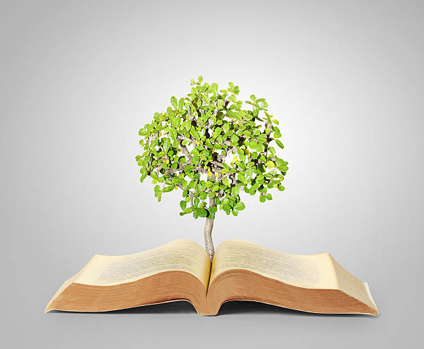 istock book of fantasy stories 483159806