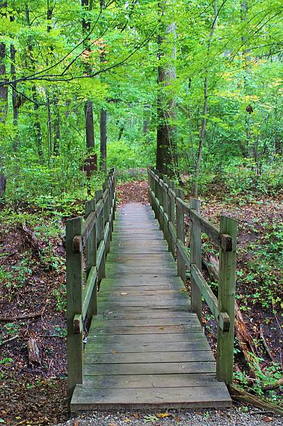 istock The Bridge to Adventure 483159930