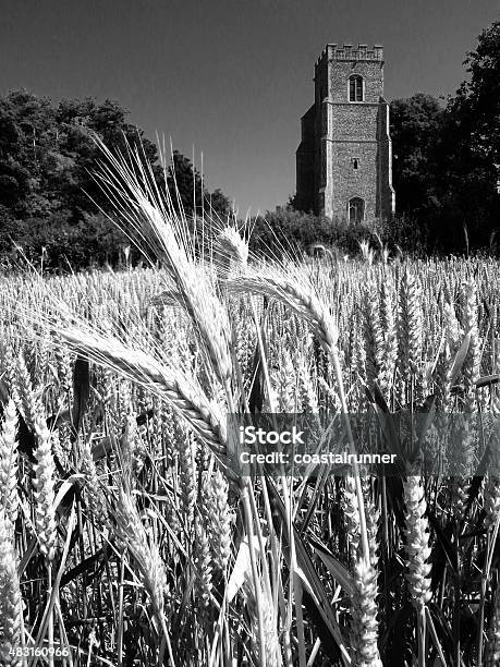 Church Of St Gregory The Great Rendlesham Suffolk Stock Photo - Download Image Now