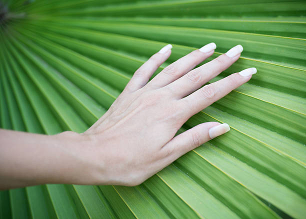Beautiful natural Hand and Nails on a Palm Leaf