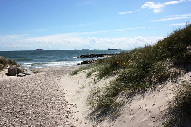 istock Sandy beach and coastline, Cargo ships before Skagen of Denmark 483165094