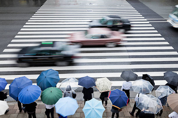 chuvoso usuários em frente da travessia de pedestres - umbrella parasol rain rush hour - fotografias e filmes do acervo