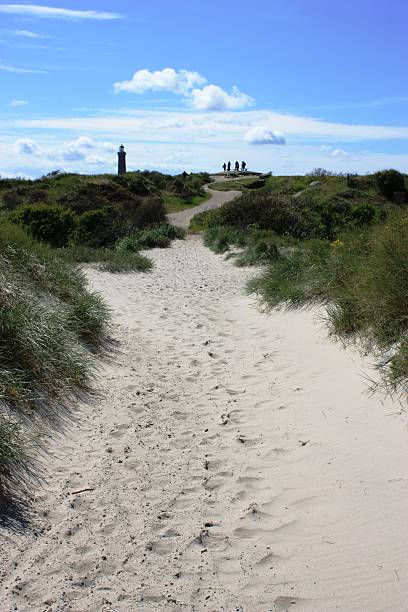 istock Sandy Way to Skagen's Grey Lighthouse in Denmark 483166074