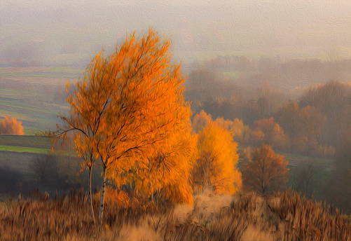 A photo of misty rural landscape in autumn, stylized and filtered to look like an oil painting. In the foregrund beautiful orange birches, in the background fields and forests.
