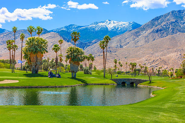 パームスプリングスゴルフコース、カリフォルニア州 - lawn desert golf california ストックフォトと画像
