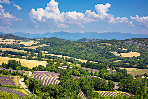 Village of Simiane-la-Rotonde with lavender field in summer. Alpes-de-Hautes-Provence, France
