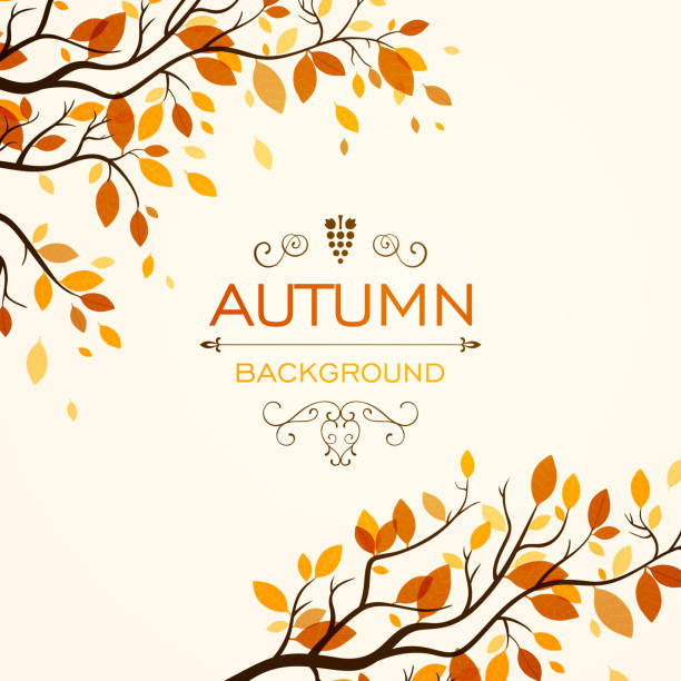 illustrazioni stock, clip art, cartoni animati e icone di tendenza di vettoriale autunno design - abstract autumn backgrounds beauty