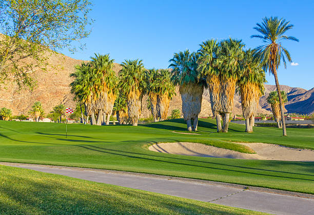 палм спрингс, калифорния, (p) поле для гольфа - lawn desert golf california стоковые фото и изображения