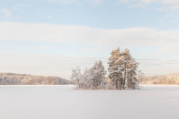 istock Island on the frozen winter lake. 483170121