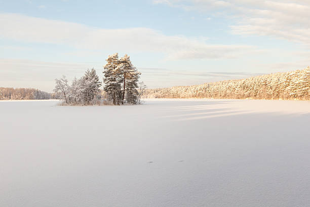 istock Island on the frozen winter lake. 483170135