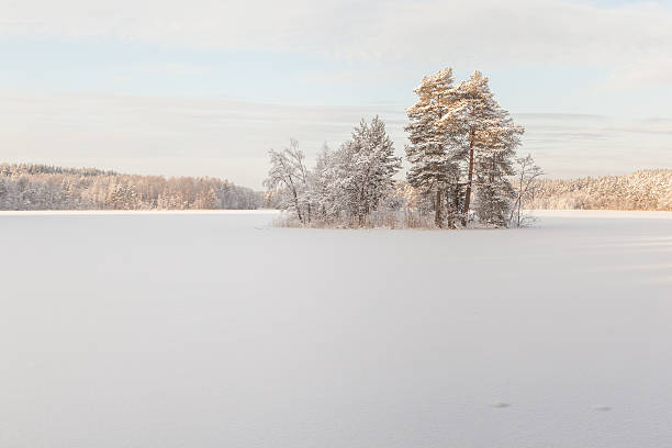 istock Island on the frozen winter lake. 483170183