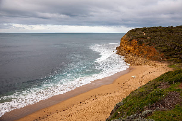 costa do oceano pacífico sob céu nublado, imediatamente antes de uma tempestade - uncultivated meteorology weather sea imagens e fotografias de stock