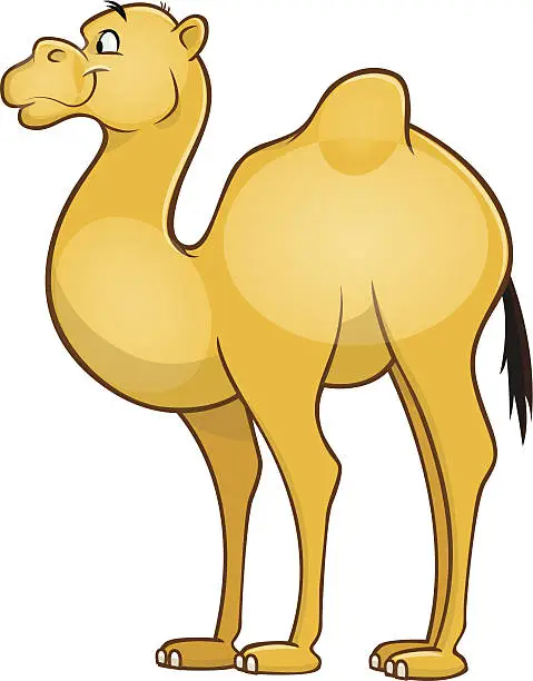 Vector illustration of Camel