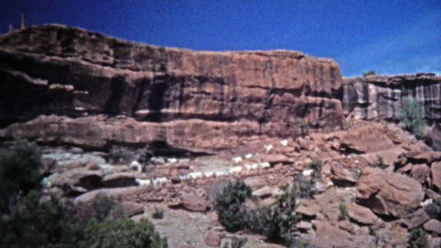 1972: Mountain goats freely roaming the dangerous cliffs edges.