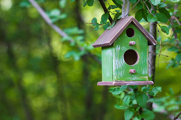 istock Birdhouse hanging on tree branch 483172762