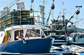 fischerboote.jpg?b=1&s=170x170&k=20&c=6WUoF3ifODM55GNZc7JfbDZLP1CJXXrfsFdht24n2AQ=