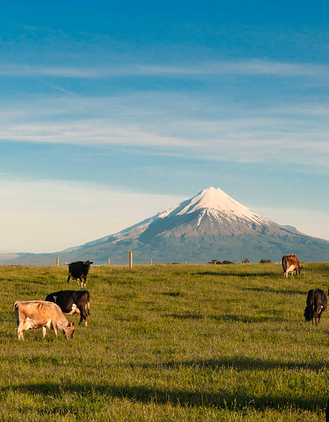 istock Taranaki New ZEaland 483178500