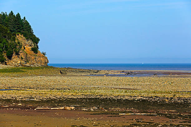 istock Low Tide Alma Bay Fundy Coast 483178694