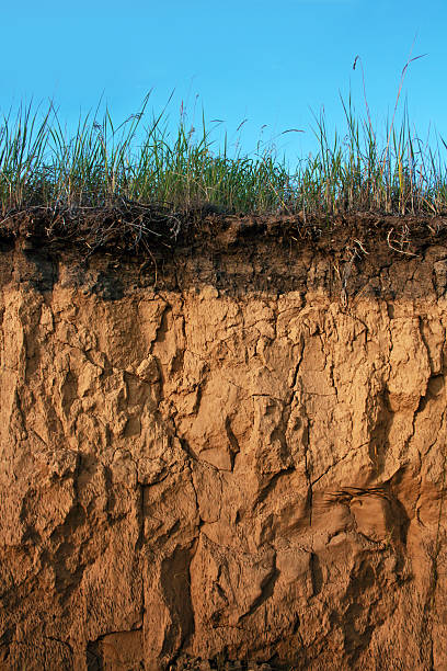 istock texture of a cross section of the soil 483182910