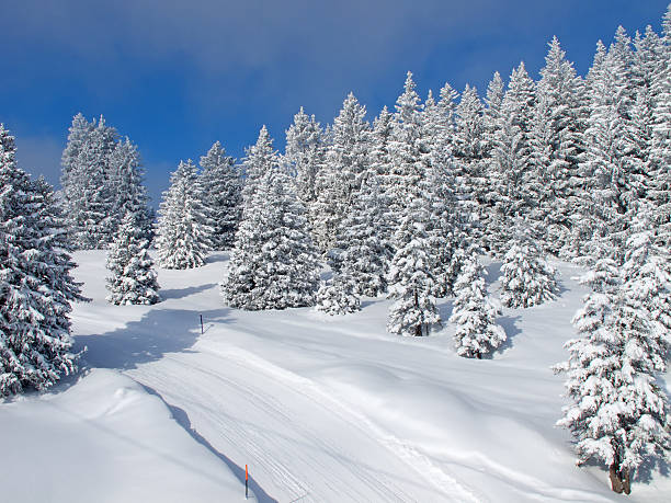 istock Winter in the alps 483183408