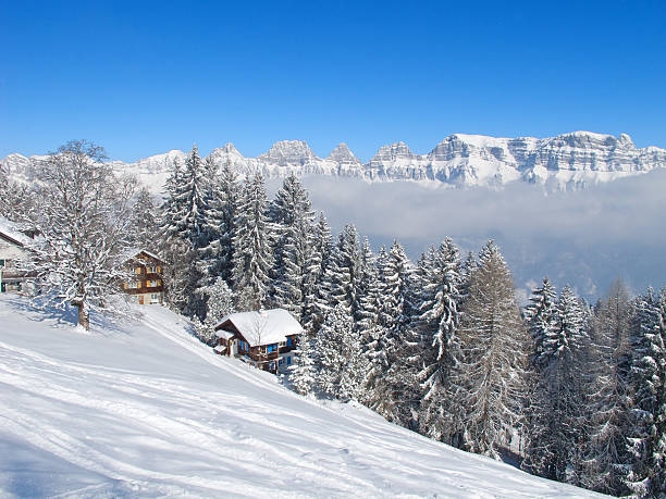 istock Winter holiday house 483183412