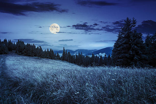 istock meadow on a hillside near forest at night 483184184