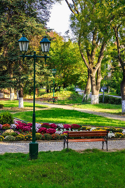 istock City lights in the park 483184534