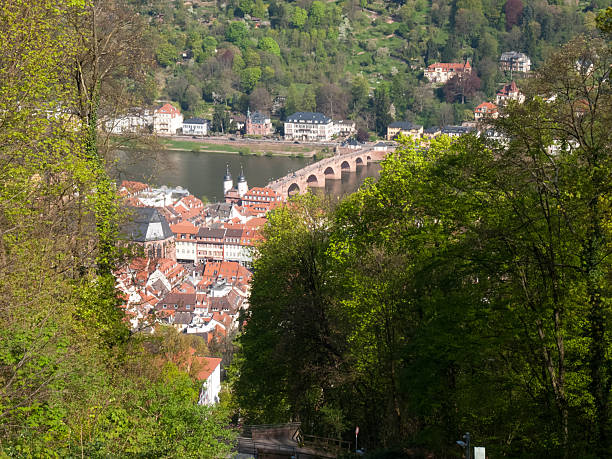istock City view from the Koenigstuhl 483184588