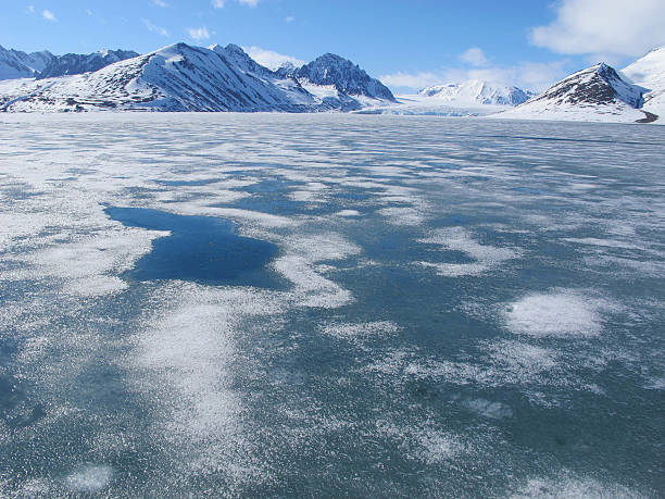 istock Brash sea ice covering ocean 483185816