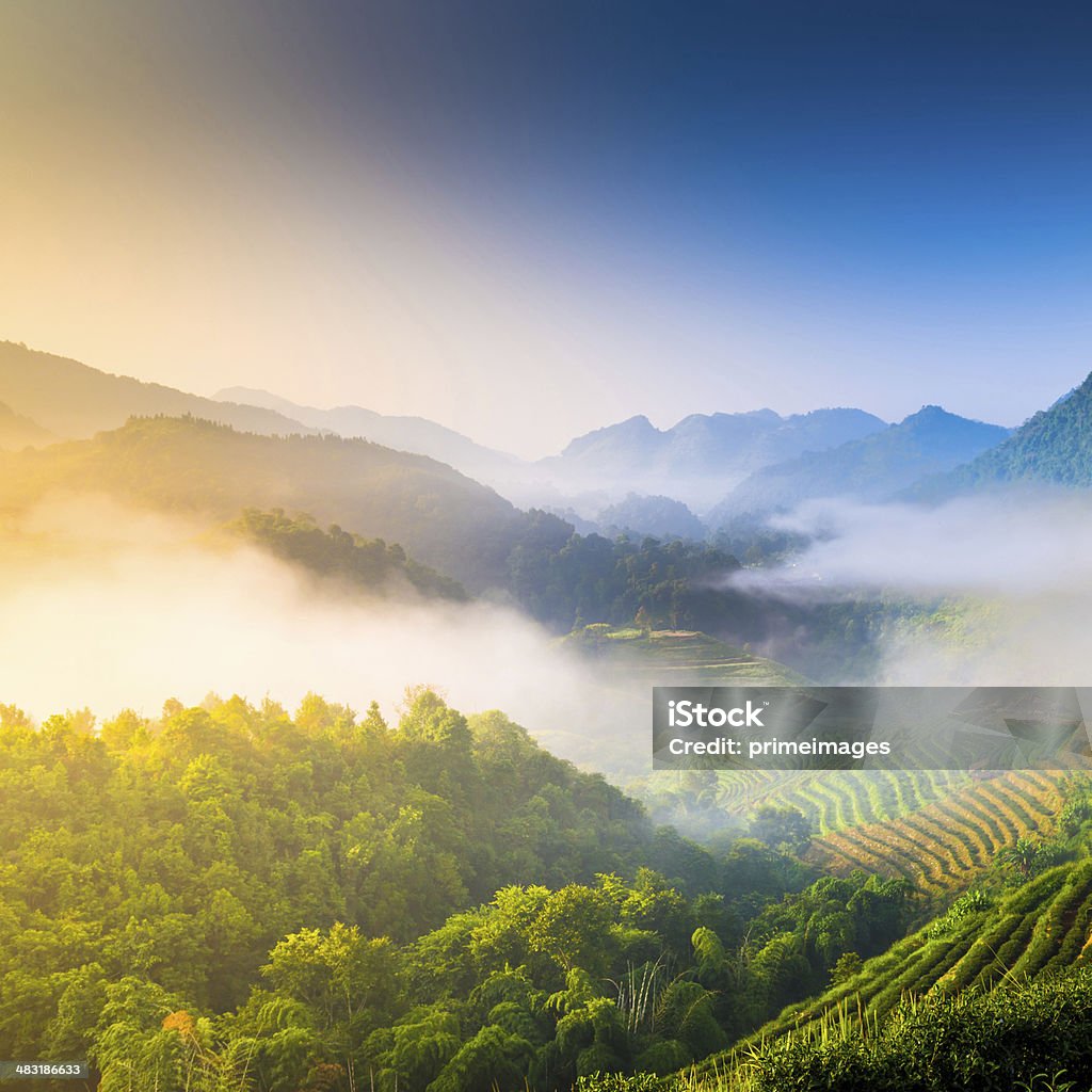 Bela luz do sol Montanhas em dia nublado. - Royalty-free Agricultura Foto de stock