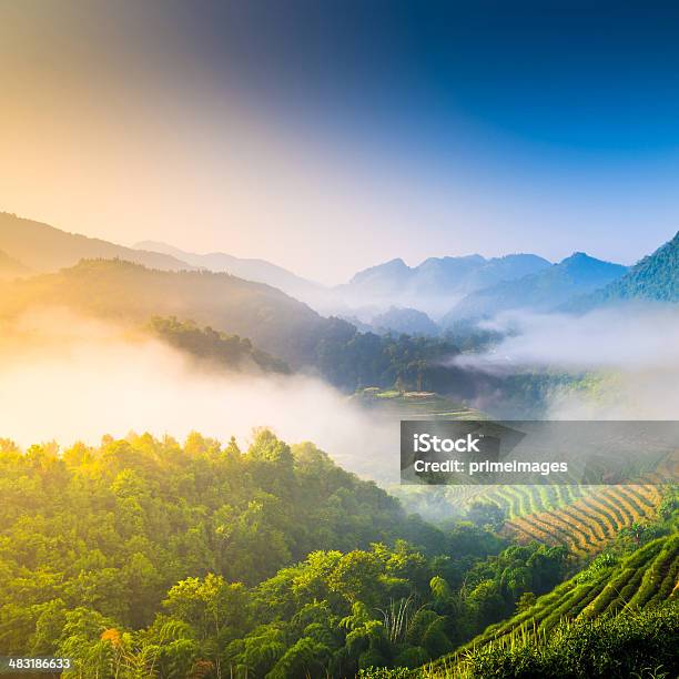 Bela Luz Do Sol Montanhas Em Dia Nublado - Fotografias de stock e mais imagens de Agricultura - Agricultura, Ajardinado, Alto - Descrição Física