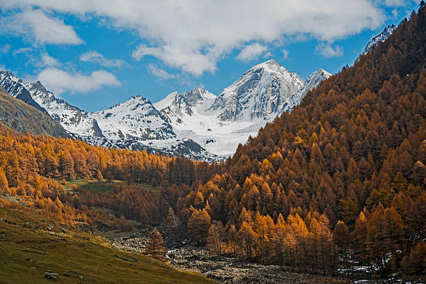 istock Autumn in South Tyrol, Pfossental 483186646