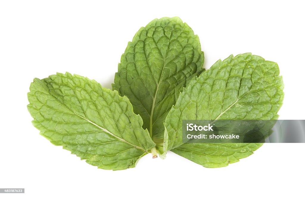 Foglie di menta fresca isolato su sfondo bianco.  macro di Studio - Foto stock royalty-free di Aromaterapia