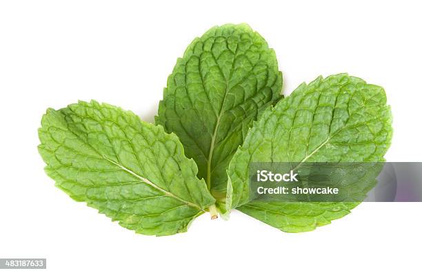 Foglie Di Menta Fresca Isolato Su Sfondo Bianco Macro Di Studio - Fotografie stock e altre immagini di Aromaterapia