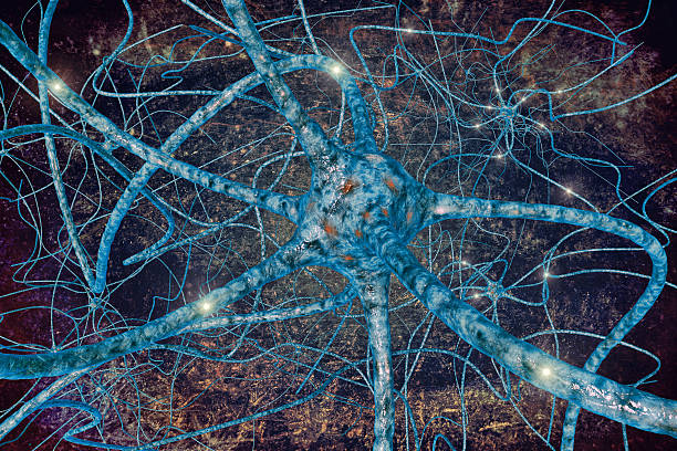 istock neurons of the human brain 483189103