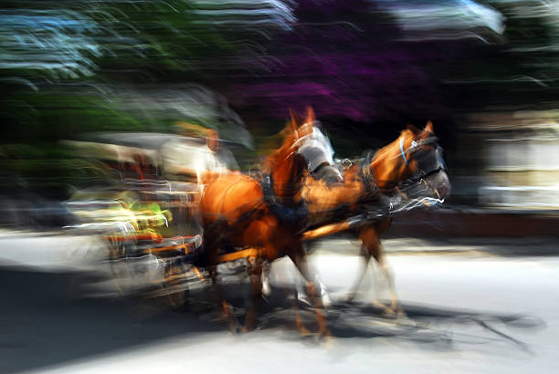 phaeton - fotografia de stock