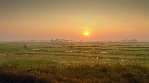 istock Sunrise on the rice field 483189581