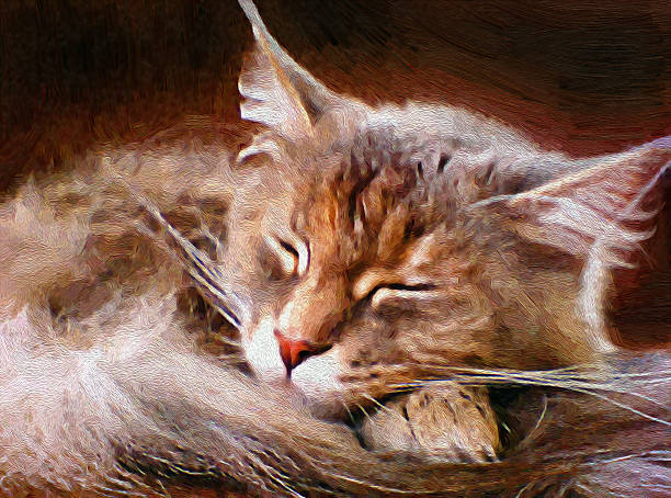 istock Sleeping cat in oil painting style. 483189762
