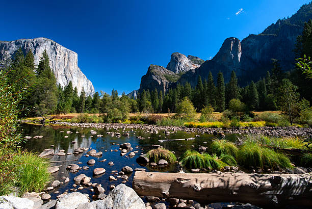 istock River with rocks in Yosemite National Park 483190050