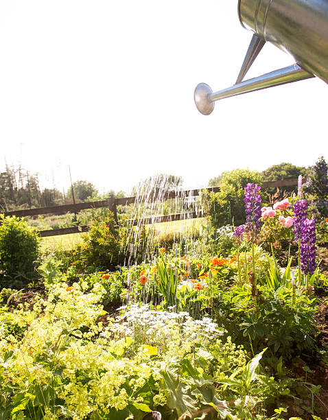 istock stainless steel watering can and garden 483194094