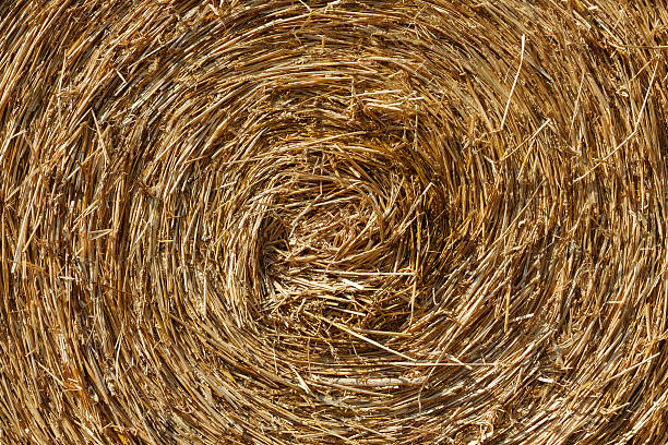 istock Natural background: Close up of a straw bale 483197982