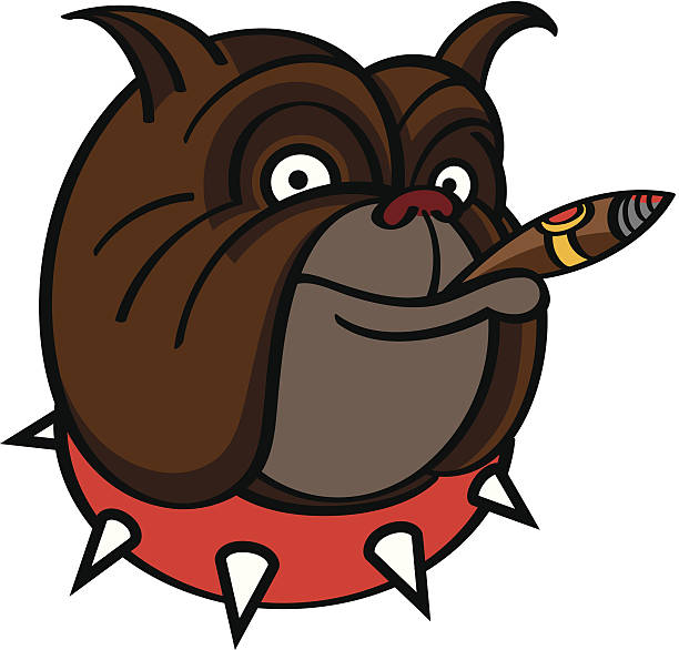 Dog With Cigar Stock Illustration - Download Image Now - Cigar, Bulldog,  Cartoon - iStock