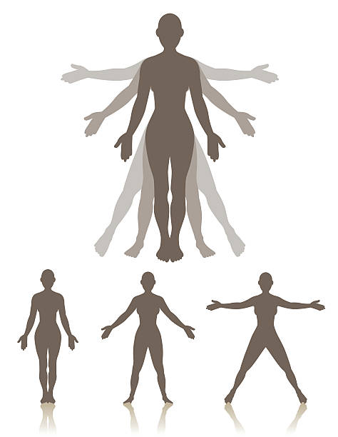 Motion Woman A woman standing in three different positions that are part of the motions involved in exercising or moving.  A large character is shown with silhouettes behind in the two other positions, with arms being raised and legs and feet spreading out.  Also three characters in each position alone. jumping jacks stock illustrations
