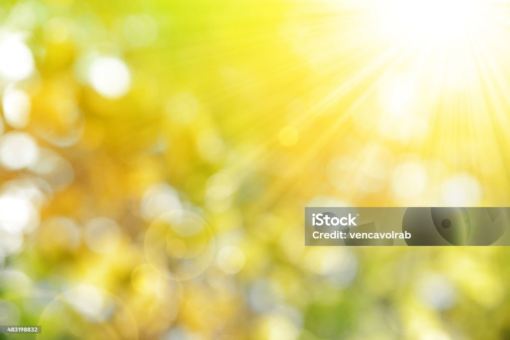 autumn nature background Sunny abstract autumn nature background  Sunbeam Stock Photo