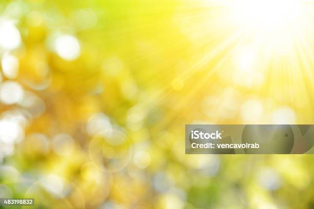 Autumn Nature Background Stock Photo - Download Image Now - Sunbeam, Sunny, Day