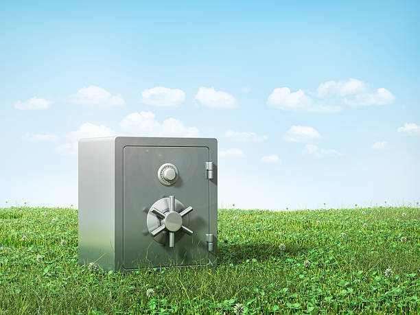 Metal safe on the grass. Safety concept.