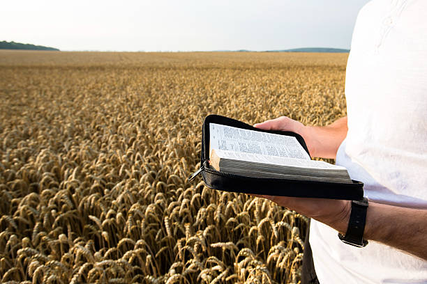 istock Man holding open Bible in a wheat field 483199196