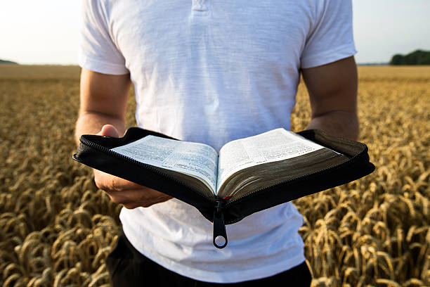 uomo che tiene una bibbia aperta in un campo di grano - preacher foto e immagini stock