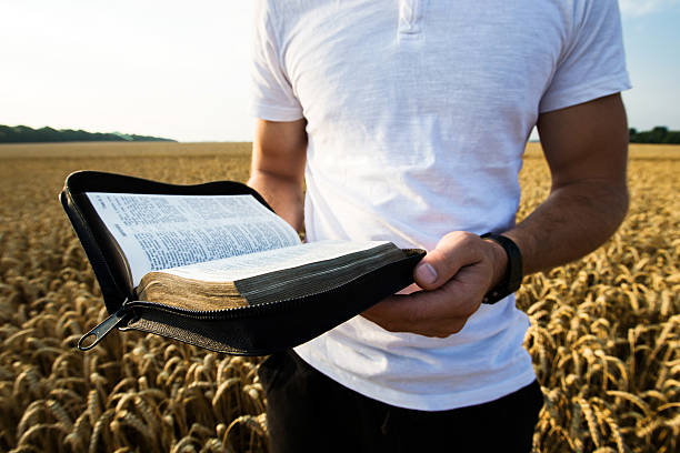 istock Man holding open Bible in a wheat field 483199204