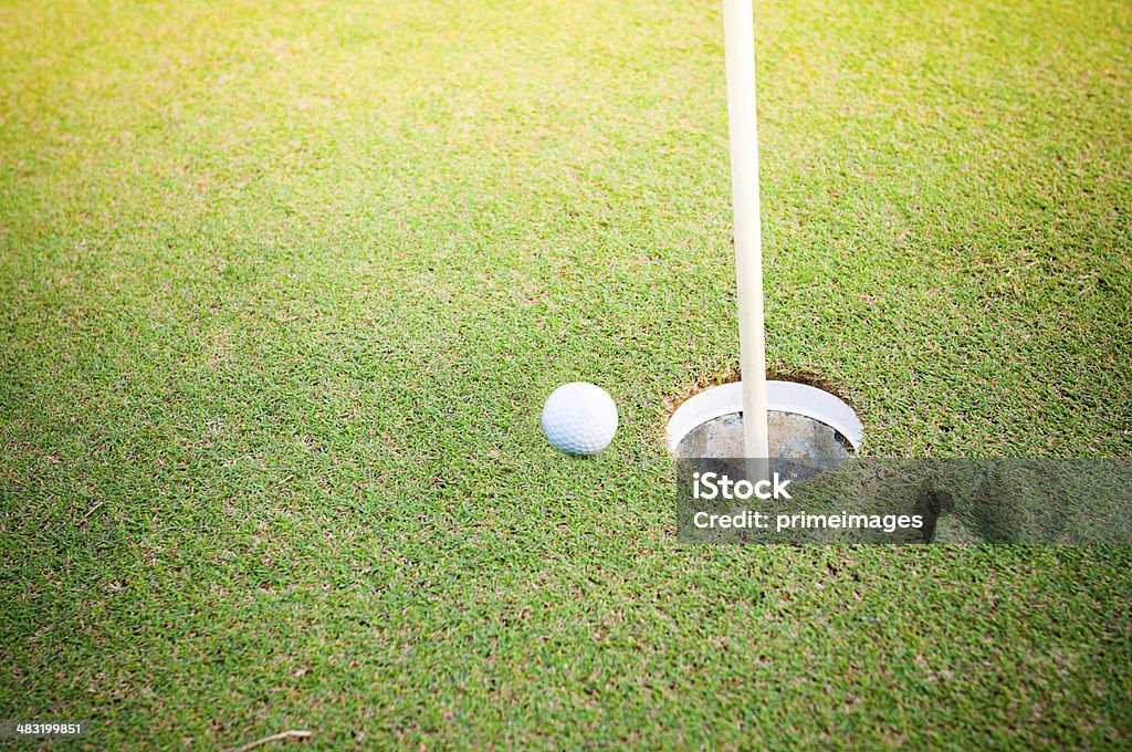 Tropikalna Pole golfowe - Zbiór zdjęć royalty-free (Boisko)